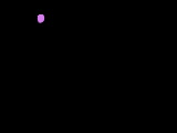 Gif animé feux d'artifices 180